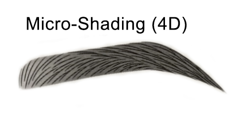 Micro-shading（4D）